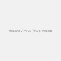 Hepatitis A Virus (HAV) Antigens